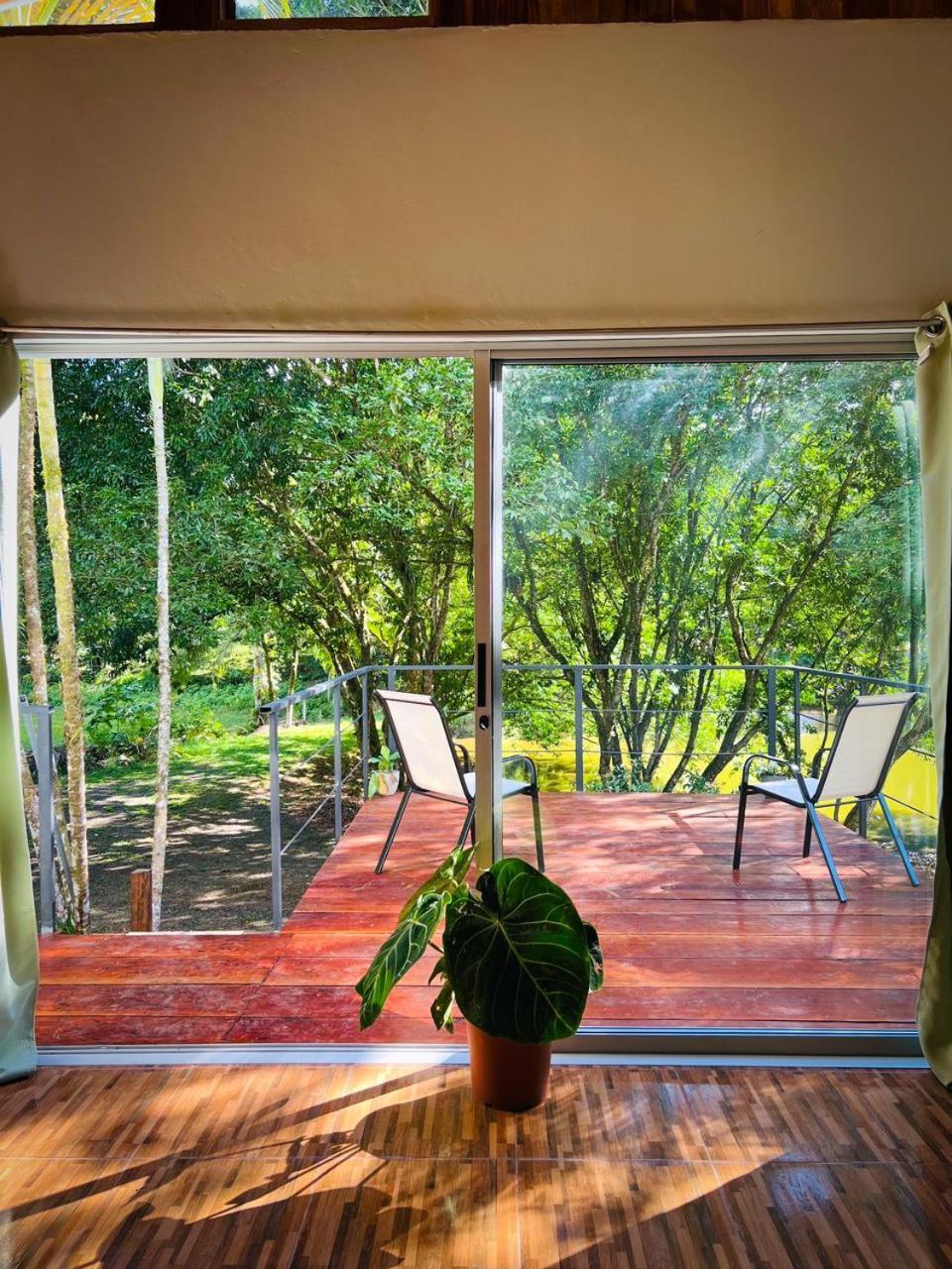 Boca TapadaFicus Houseアパートメント エクステリア 写真