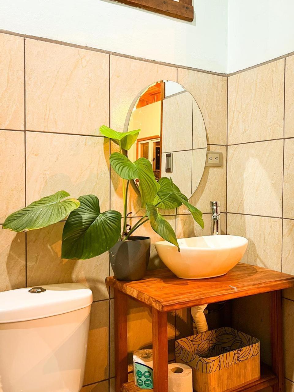 Boca TapadaFicus Houseアパートメント エクステリア 写真